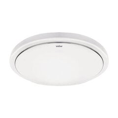 sola led c õhuke 18w 4000k led smd laevalgusti STRÜHM 63 x 290 x 290 mm hind ja info | Laelambid | kaup24.ee