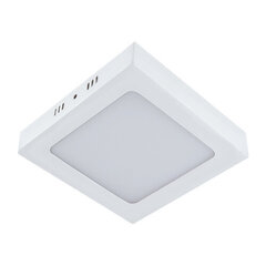 martin led d valge 12w 4000k led smd laevalgusti STRÜHM 35 x 170 x 170 mm hind ja info | Süvistatavad ja LED valgustid | kaup24.ee