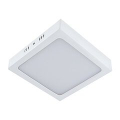 martin led d valge 24w 4000k led smd laevalgusti STRÜHM 35 x 300 x 300 mm hind ja info | Süvistatavad ja LED valgustid | kaup24.ee