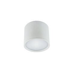 rolen led 3w valge 4000k led smd laevalgusti STRÜHM 65 x 75 x 75 mm hind ja info | Laelambid | kaup24.ee