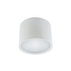 Светодиодный потолочный светильник smd STRÜHM rolen led 7w белый 4000k, 70 x 100 x 100 мм цена и информация | Потолочные светильники | kaup24.ee