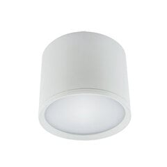 Светодиодный потолочный светильник smd STRÜHM rolen led 10w белый 4000k, 90 x 120 x 120 мм цена и информация | Потолочные светильники | kaup24.ee