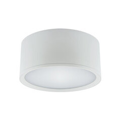 rolen led 15w valge 4000k led smd laevalgusti STRÜHM 70 x 150 x 150 mm hind ja info | Laelambid | kaup24.ee