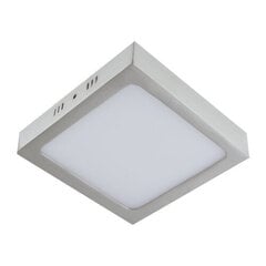 martin led d matchr 24w 4000k led smd laevalgusti STRÜHM 35 x 300 x 300 mm hind ja info | Süvistatavad ja LED valgustid | kaup24.ee