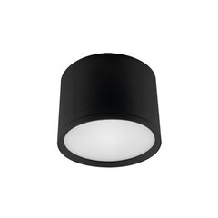 Светодиодный потолочный светильник smd STRÜHM rolen led 7w черный 4000k, 70 x 100 x 100 мм цена и информация | Потолочные светильники | kaup24.ee