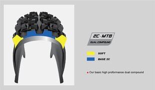 Велошина MTB Chaoyang H-5234 PHANTOM DRY 29x2.20, 60TPI, Tubeless Ready цена и информация | Покрышки, шины для велосипеда | kaup24.ee