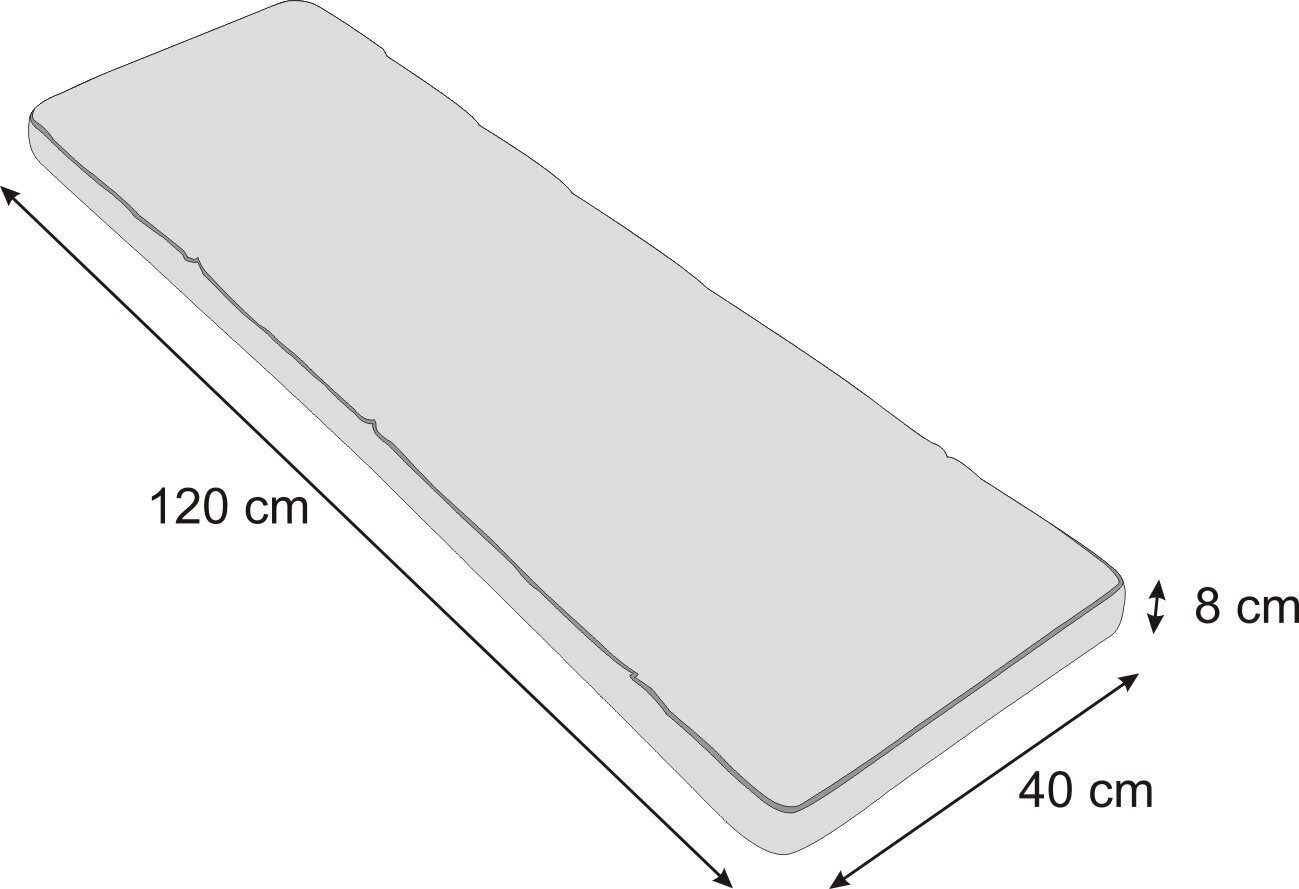 Padi pingile Etna Ekolen 120x40 cm, sinine hind ja info | Toolipadjad ja -katted | kaup24.ee