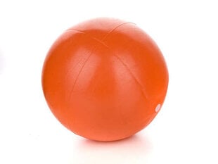 Võimlemispall SW mini ball, 20 cm цена и информация | Гимнастические мячи | kaup24.ee