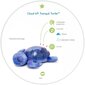 Valguse projektsiooni ja meloodiatega öölamp Kilpkonn lilla Tranquil Turtle Aqua Ocean, Cloud B 008434 цена и информация | Imikute mänguasjad | kaup24.ee