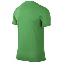 Спортивная футболка для мальчиков Nike Park VI Junior 725984-303, 43259, зеленая цена и информация | Рубашки для мальчиков | kaup24.ee