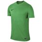 Poiste spordisärk Nike Park VI Junior 725984-303, 43259, roheline hind ja info | Poiste särgid | kaup24.ee