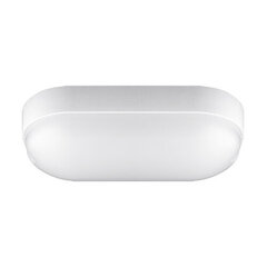 Герметичный потолочный светильник led STRÜHM markus led l 5w 4500k, 58 x 195 x 95 мм цена и информация | Монтируемые светильники, светодиодные панели | kaup24.ee