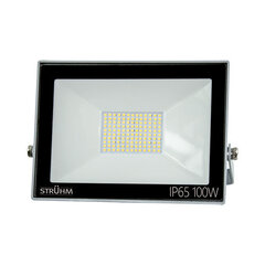 Серый 4500k светодиодный прожектор smd STRÜHM kroma led 100w, 215 x 269 x 32 мм цена и информация | Монтируемые светильники, светодиодные панели | kaup24.ee