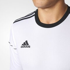 Футболка для мужчин Adidas Squadra 17 Long Sleeve, белая цена и информация | Мужская спортивная одежда | kaup24.ee