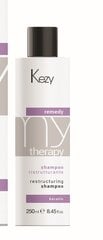 Kezy Mytherapy Remedy Keratin Restructuring Shampoo 250 ml цена и информация | Шампуни | kaup24.ee