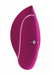 Vive vibraator Minu Lay On Vibrator hind ja info | Vibraatorid | kaup24.ee