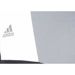 Väravavahi särk poistele Adidas Assita 17 Junior, must hind ja info | Poiste särgid | kaup24.ee