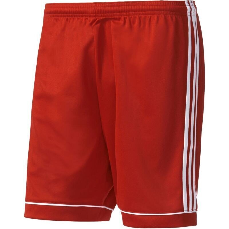 Meeste lühikesed püksid Adidas Squadra 17, punane hind ja info | Meeste lühikesed püksid | kaup24.ee