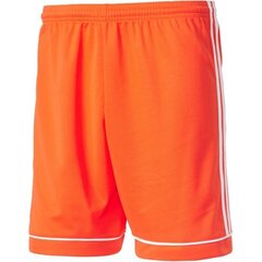 Meeste lühikesed püksid Adidas Squadra 17, oranž hind ja info | Meeste lühikesed püksid | kaup24.ee