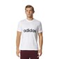 Meeste spordisärk Adidas Essentials Linear Tee, valge hind ja info | Meeste spordiriided | kaup24.ee