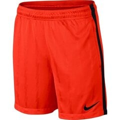 Спортивные шорты для мальчиков Nike Dry Squad Jacquard Junior 870121- 852 цена и информация | Poiste lühikesed püksid | kaup24.ee