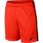 Poiste spordipüksid Nike Dry Squad Jacquard Junior 870121- 852 цена и информация | Poiste lühikesed püksid | kaup24.ee