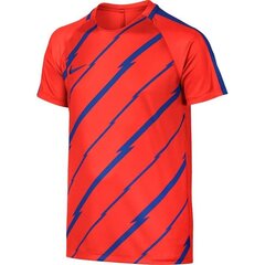 Спортивная футболка для мальчиков Nike Dry Squad Junior 833008- 852 (43578) цена и информация | Рубашки для мальчиков | kaup24.ee