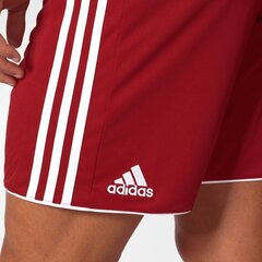 Мужские шорты Adidas Tastigo 17, красные цена и информация | Мужские шорты | kaup24.ee