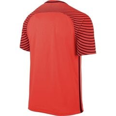Мужская спортивная футболка Nike Gardien M 725889-671 (43713) цена и информация | Мужская спортивная одежда | kaup24.ee