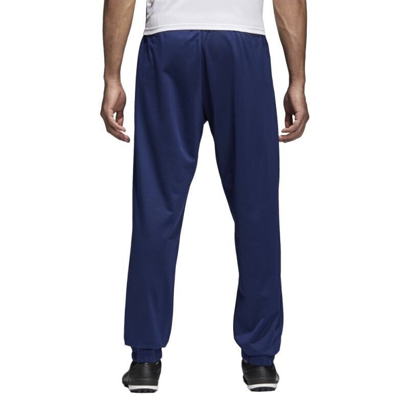 Meeste spordipüksid Adidas Core 18 Pes Pnt M, sinine hind ja info | Meeste spordiriided | kaup24.ee