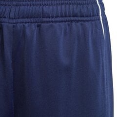 Спортивные штаны для мальчиков Adidas Core 18 PES PNT Junior, синие цена и информация | Шорты для мальчиков | kaup24.ee
