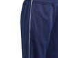 Poiste dressipüksid Adidas Core 18 PES PNT Junior, sinine hind ja info | Poiste püksid | kaup24.ee
