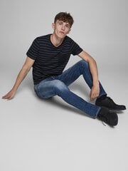 Meeste teksad Jack&Jones 12175888 цена и информация | Мужские джинсы | kaup24.ee