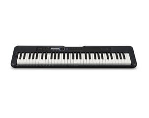 Синтезатор Casio LK-S250 цена и информация | Клавишные музыкальные инструменты | kaup24.ee