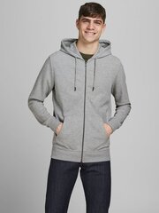 JACK & JONES Толстовка мужская, светло-серый цена и информация | Мужские толстовки | kaup24.ee