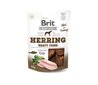 Brit Jerky Herring Meaty Coins Snack närimismaius koertele 80g hind ja info | Maiustused koertele | kaup24.ee