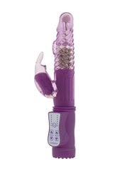 GC вибратор в форме кролика Vibrating Rabbit, фиолетовый цена и информация | Вибраторы | kaup24.ee