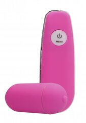 GC juhtmevaba vibreeriv muna Wireless Vibrating Egg, roosa hind ja info | Vibraatorid | kaup24.ee