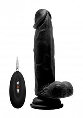 RealRock вибрирующий фаллоимитатор Vibrating Realistic Cock, 20 см цена и информация | Фаллоимитаторы | kaup24.ee