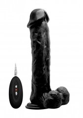 Vibreeriv peenise imitaator RealRock Vibrating Realistic Cock, 29.5 cm цена и информация | Фаллоимитаторы | kaup24.ee