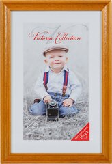 Pildiraam Memory 15x23, helepruun цена и информация | Рамки, фотоальбомы | kaup24.ee