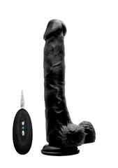 Vibreeriv peenise imitaator RealRock Vibrating Realistic Cock, 27 cm hind ja info | Dildod | kaup24.ee