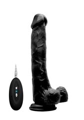 RealRock вибрирующий фаллоимитатор Vibrating Realistic Cock, 27 см цена и информация | Фаллоимитаторы | kaup24.ee