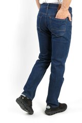 Джинсы EVIN цена и информация | Мужские джинсы | kaup24.ee