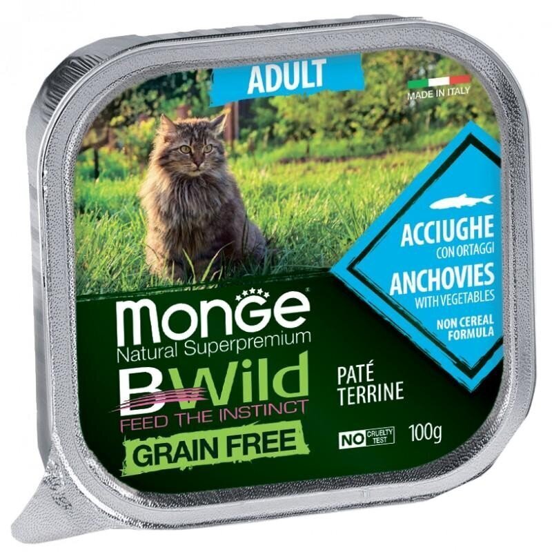 Küpsetatud pasteet Monge BWild Cat Grain Free Adult anšooviste ja köögiviljadega 100g hind ja info | Konservid kassidele | kaup24.ee