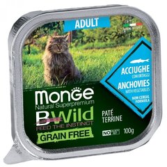 Küpsetatud pasteet kassidele Monge BWild Cat Grain Free Adult lõhe ja köögiviljadega 100g цена и информация | Кошачьи консервы | kaup24.ee