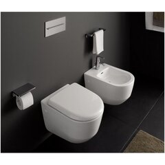 WC-pott Laufen PRO NEW цена и информация | Унитазы | kaup24.ee