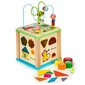 Puidust arendav kuubik - sorteerija Ecotoys HM015470 hind ja info | Imikute mänguasjad | kaup24.ee