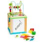 Puidust arendav kuubik - sorteerija Ecotoys HM015470 hind ja info | Imikute mänguasjad | kaup24.ee