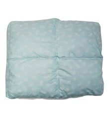 Пухо/перьевое одеяло COMFORT PLUSS blue цена и информация | Одеяла | kaup24.ee